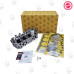 Cylinder Head Kit - Mazda/Ford FE 12v Kit