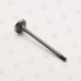 Exhaust Valve - Isuzu 4JG2