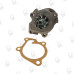 Water Pump NISSAN URVAN QR25DE 2001-12